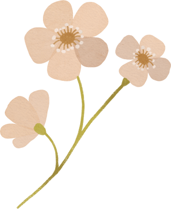 ピンクのお花のイラスト